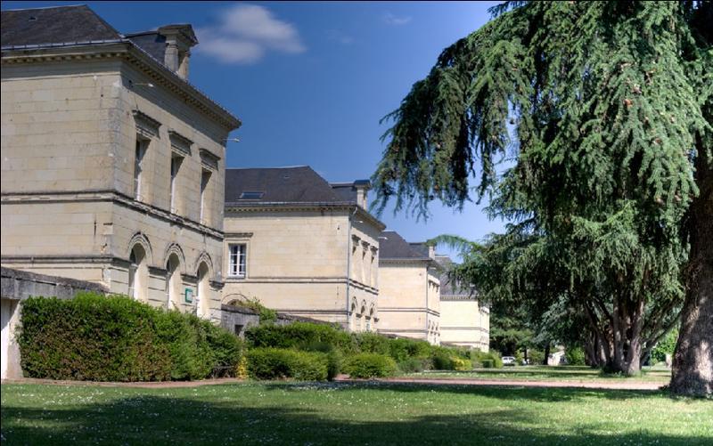 מלון Domaine De Roiffé מראה חיצוני תמונה